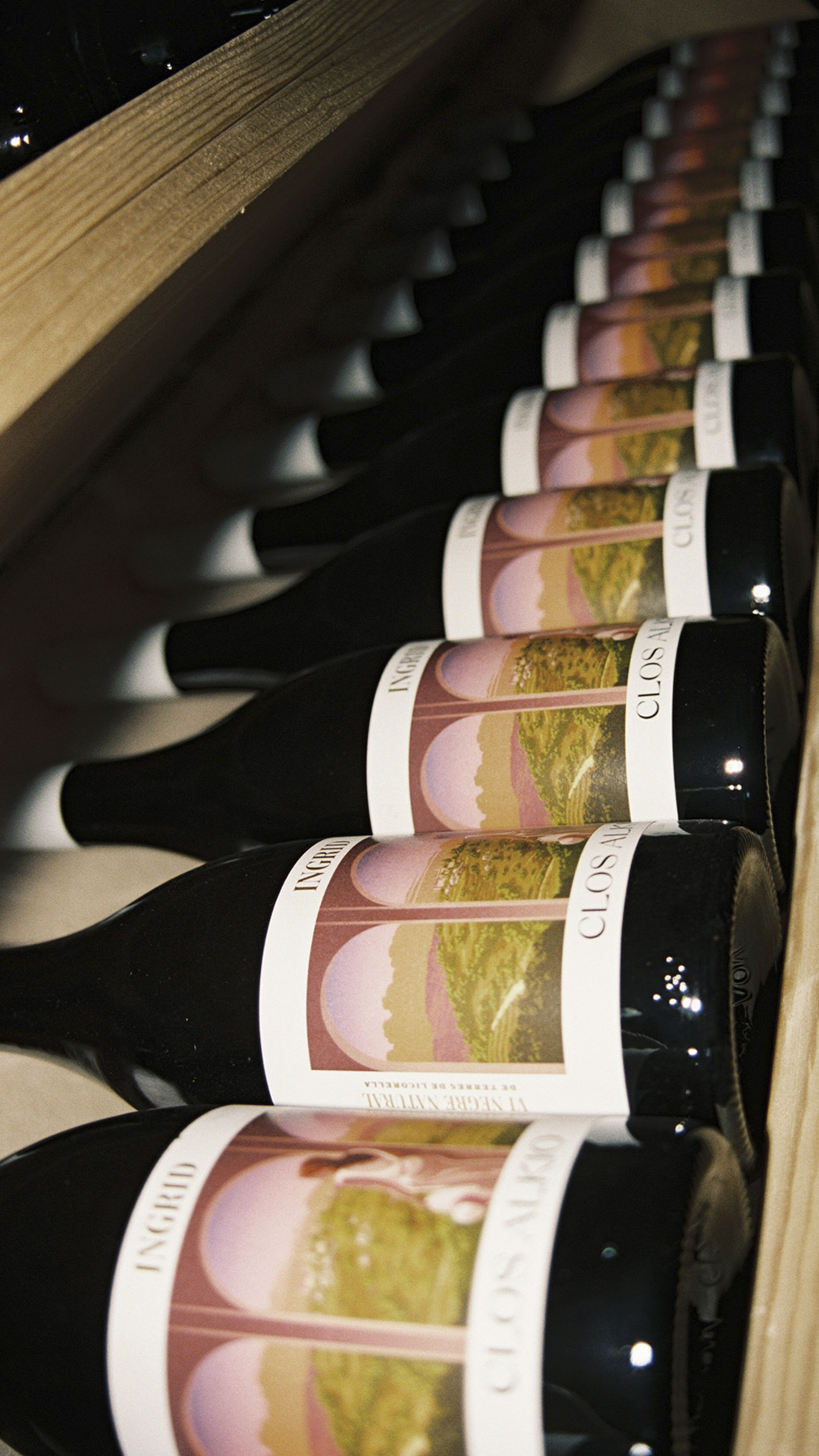 Bottles resting in the cellar